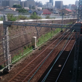 サニーカーが名古屋を駆け抜けるの画像