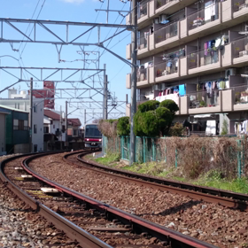 のんびりとしたカーブがなかなか良い(´∇｀)の画像