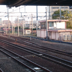 久しぶりに鉄分補給の画像