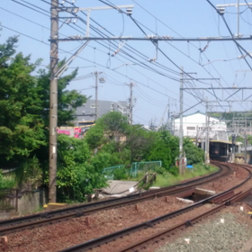 本線特急が古い街並みが並ぶ有松を駆け抜けるの画像