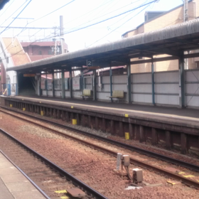 本線特急が駆け抜けるの画像