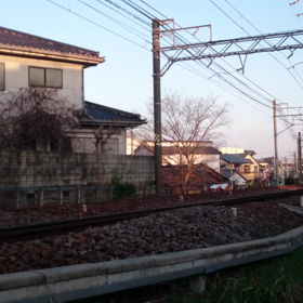豪華な普通電車の画像
