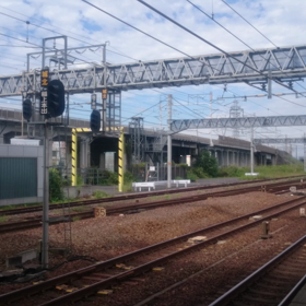 久しぶりにDLとの再会(´∇｀)の画像