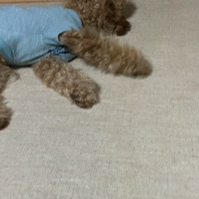 今年初 の画像