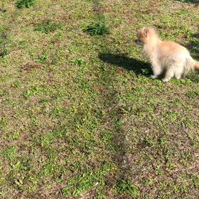 いい天気なのでの画像