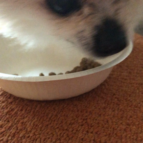 カリカリカリカリカリカリの画像