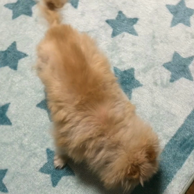 暑いです！の画像