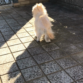 秋の気配と匂いかな 8月18日に投稿したのに載らなかったみたいの画像