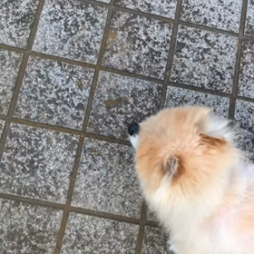 大丈夫でしたかーっの画像