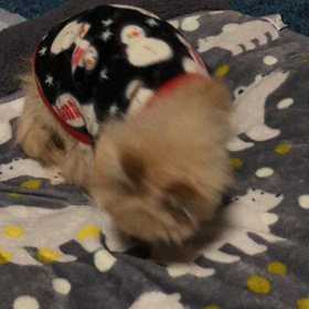 シール効果の画像