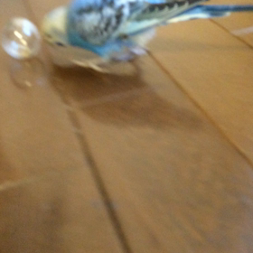 やってます^_−☆の画像