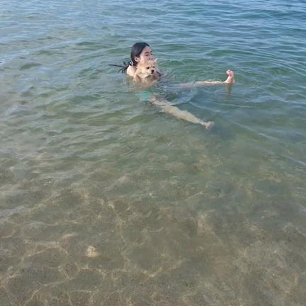 海*•.¸¸♪の記事動画