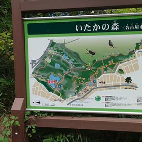 猪高緑地の画像