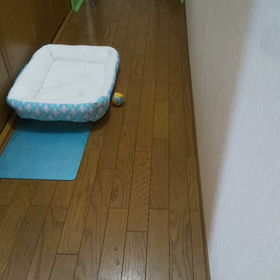 ごはんの画像