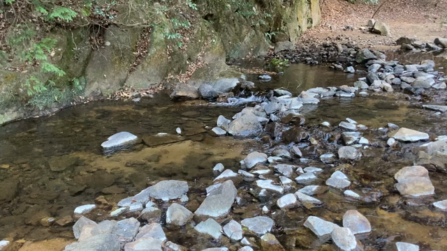 自然はすご腕ヒーラー　山がもたらした奇跡の記事動画
