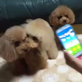 遊びなから模索中～(笑)の画像