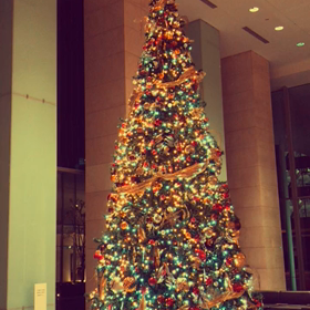 コンカード横浜のクリスマスツリーの画像