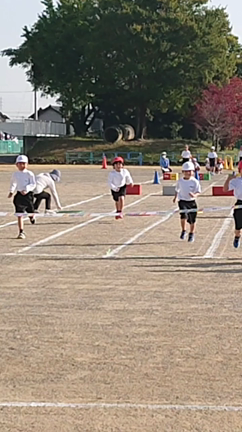 スポーツ大会始まりましたよ❗の記事動画