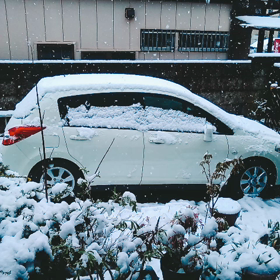 雪の画像