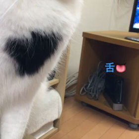 おはようございますの画  像