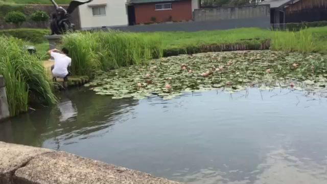 福崎町エルデホール♪の記事動画