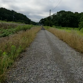 許可の画像