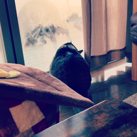 2021/01/12の画像