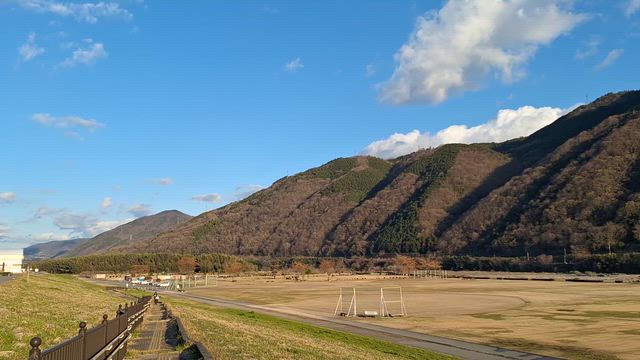 お散歩️の記事動画