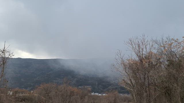 日曜日。の記事動画