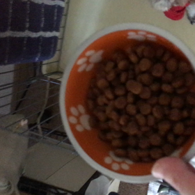 夕食の画像
