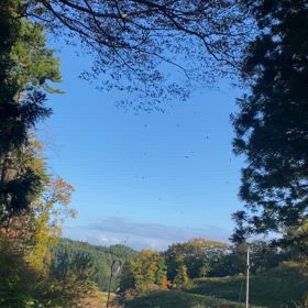 秋の空の画像