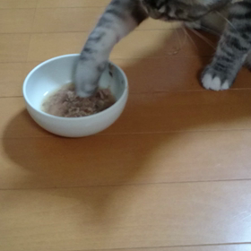 おもしろい！の画像