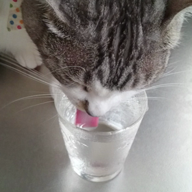 お水の飲み方の画像