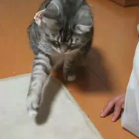 悩んでるの画像