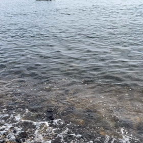 海はよ〜海はよの画像