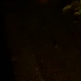 花火をの画像