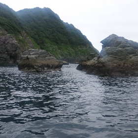 蒲江・屋形島に瀬付けする真徳丸よりの画像
