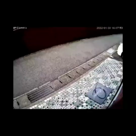 2022/02/03の画像