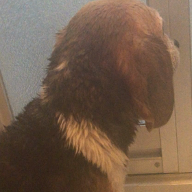 不満の画像