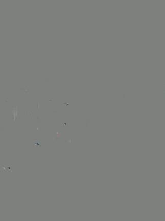 ファスティング7日目、西武園ゆうえんち散歩！の記事動画