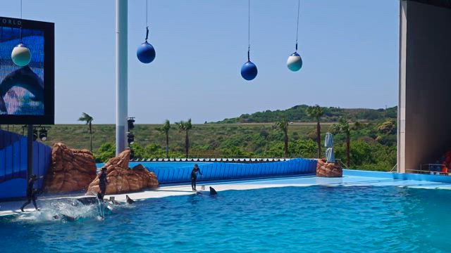 パンダに会いに急遽白浜への記事動画