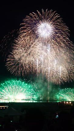 第38回なにわ淀川花火大会の記事動画