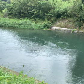 ☆身近なダム⁉️☆の画像