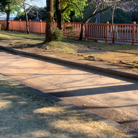 ☆公園の動画vol.3☆の画像