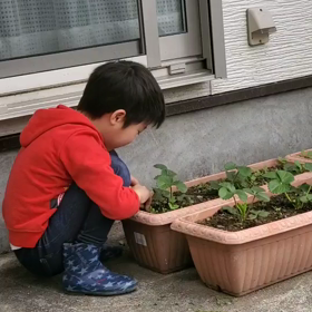☆休みは長い…☆の画像