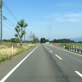 ☆花？！滝廉太郎さんに失礼？！☆の画像