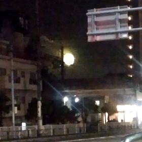 花火3～動画～の画像