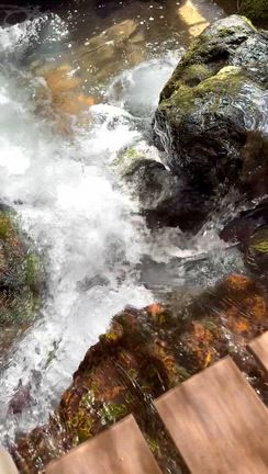 京都のパワースポット〜母との約束の記事動画
