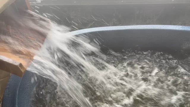 台風と共に…移動した夏休みの記事動画