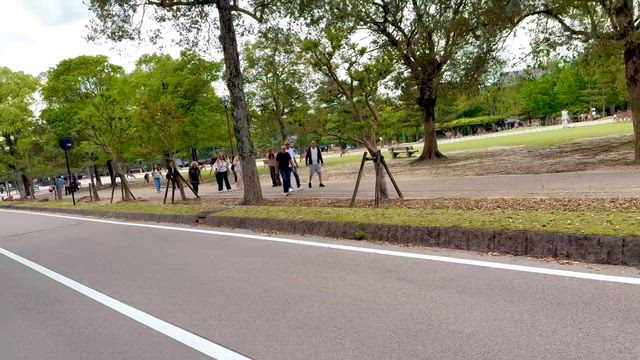 若くない夫婦の大人旅〜奈良編の記事動画